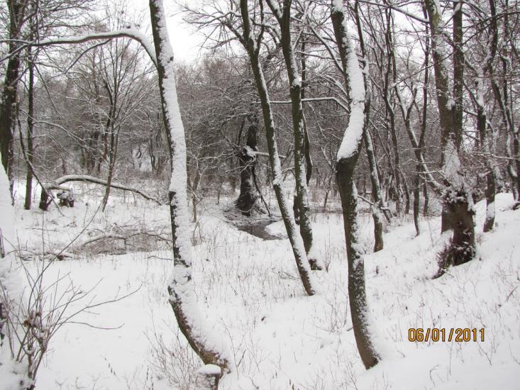 Вергулівка з panoramio.com - Вергулівка