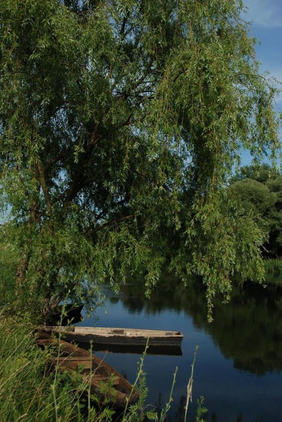 Червоний Оскіл з panoramio.com - Червоный Оскол