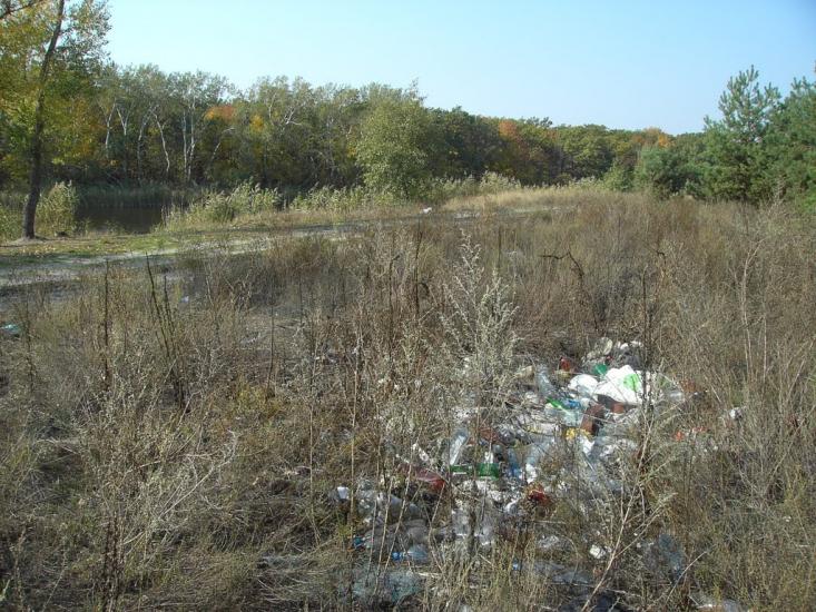 Ряське з panoramio.com - Ряське