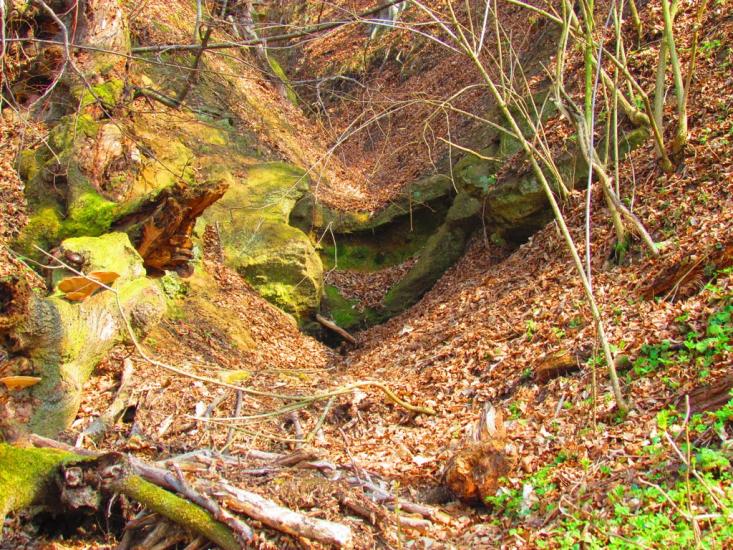 Старе Село з panoramio.com - Stare Selo