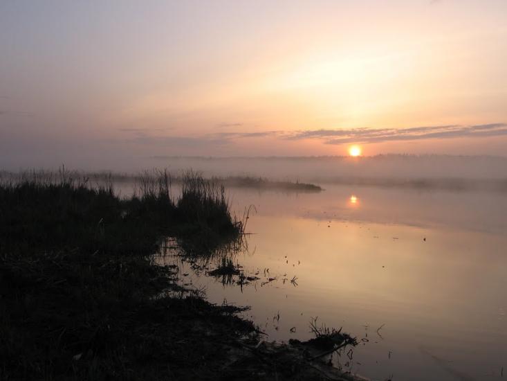 Куна з panoramio.com - Куна