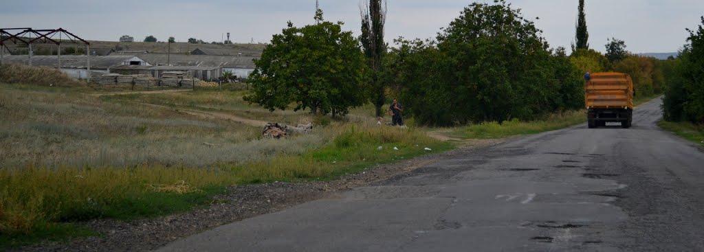 Єреміївка з panoramio.com - Еремеевка
