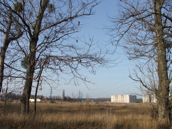 Буча з panoramio.com - Буча