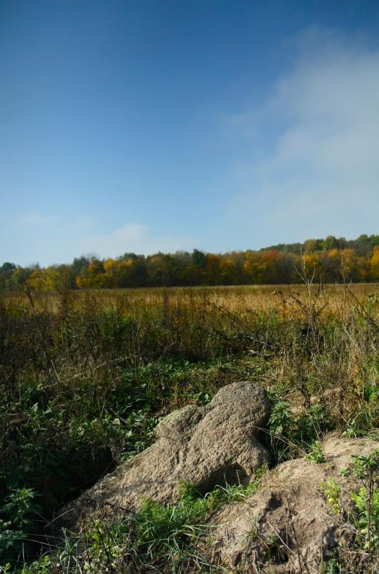 Карбівське з panoramio.com - Karbivske