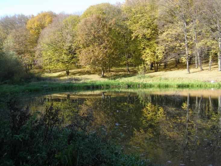 Віньківці з panoramio.com - Віньківці