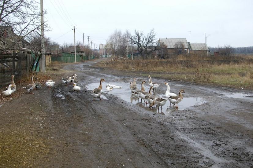 Весела Тарасівка з panoramio.com - Весела Тарасівка