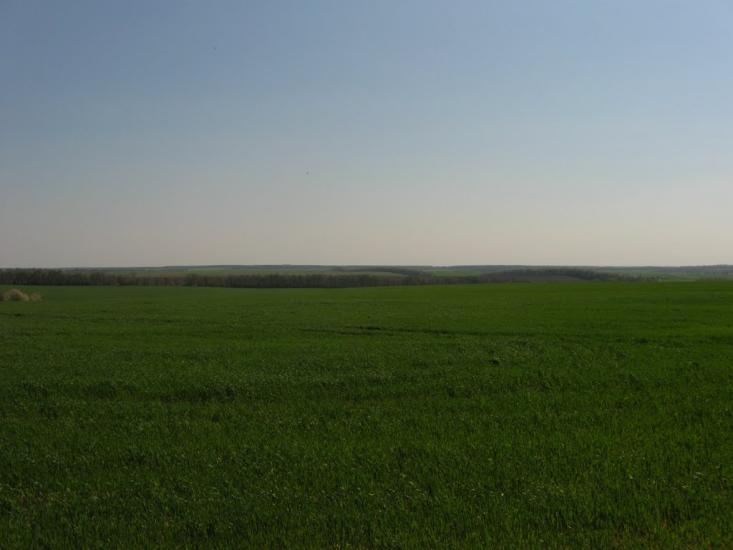 Трубочка з panoramio.com - Трубочка