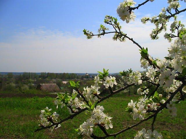 Хорошеве з panoramio.com - Хорошево