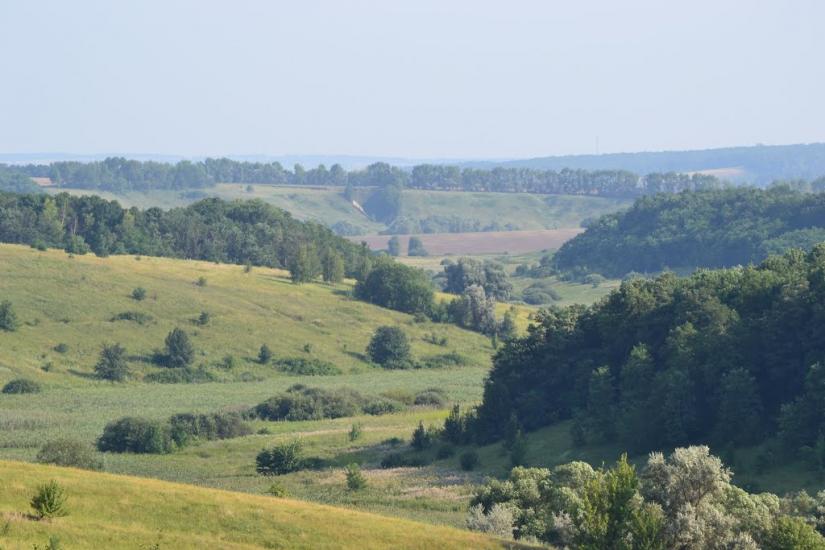 Грабовське з panoramio.com - Грабовское
