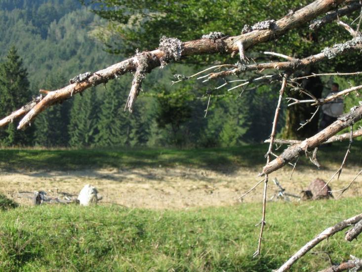 Баня-Березів з panoramio.com - Баня-Березов
