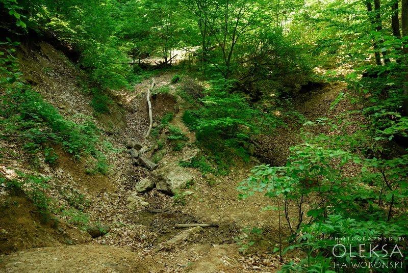 Багата Ущелина з panoramio.com - Bagata Uschelyna