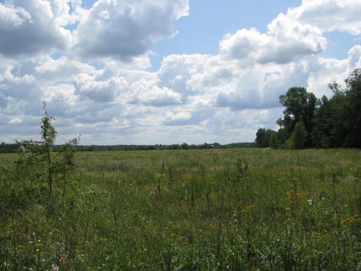 Гавронці з panoramio.com - Гавронці