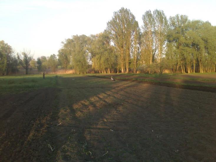 Степанівка з panoramio.com - Степановка
