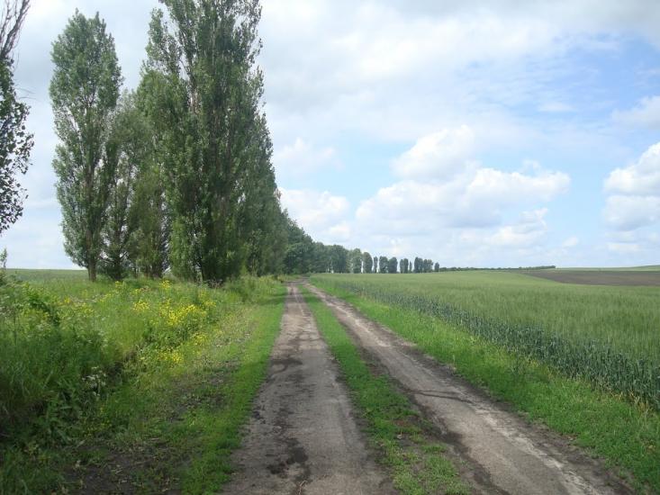 Давидківці з panoramio.com - Давыдковцы