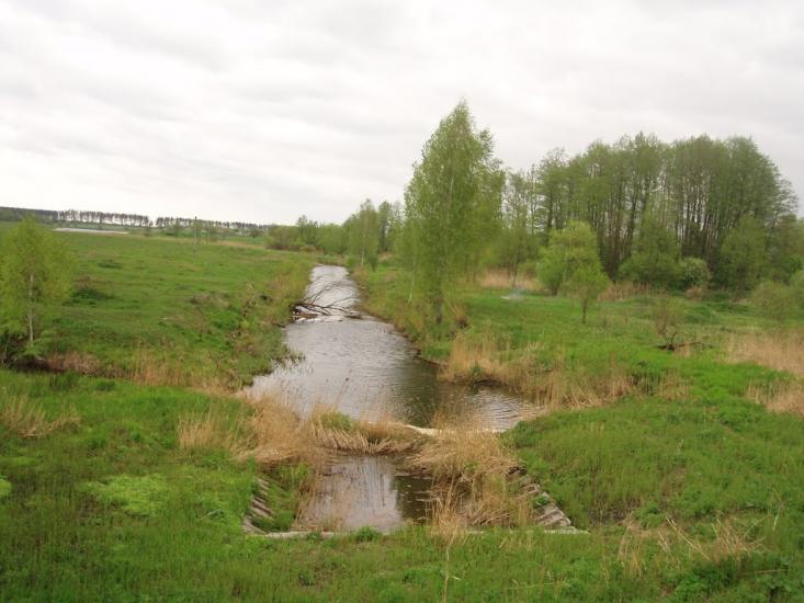 Віленька з panoramio.com - Vilenka