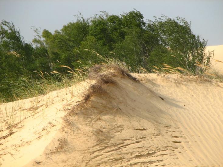 Пролетарка з panoramio.com - Пролетарка