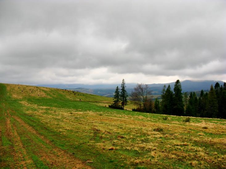 Карпатське з panoramio.com - Карпатское