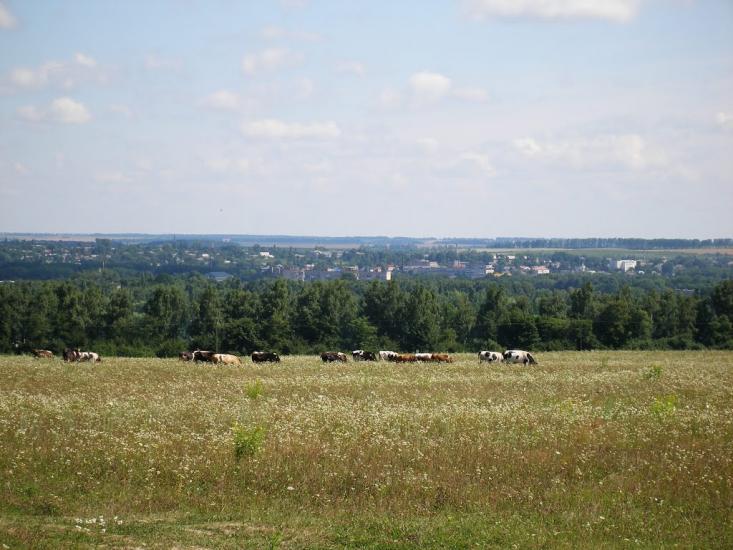 Хмільник з panoramio.com - Khmilnyk