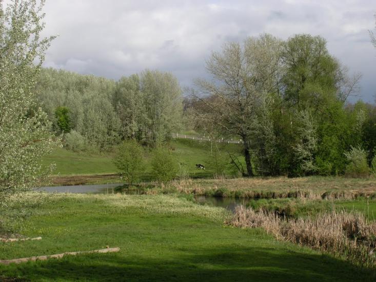 Кашперівка з panoramio.com - Кашперівка