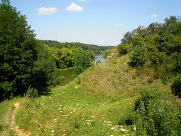 Селище з panoramio.com - Селище