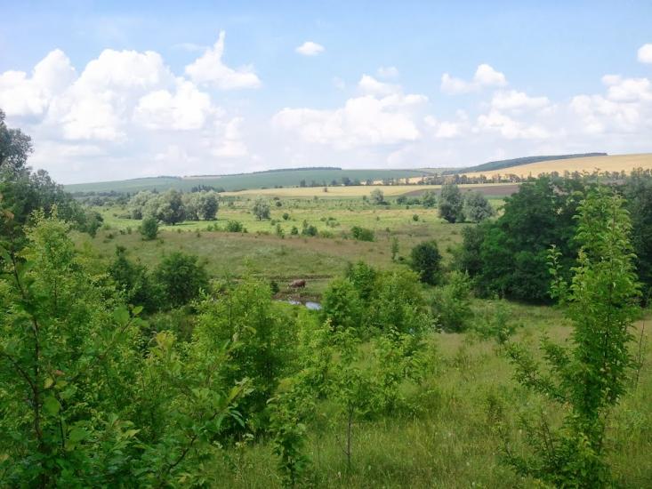 Новоукраїнка з panoramio.com - Новоукраїнка