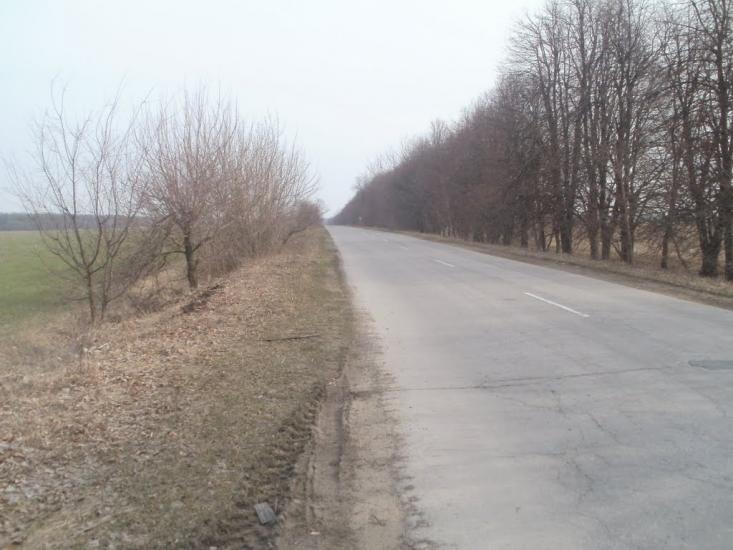 Мітлинці з panoramio.com - Метлинцы