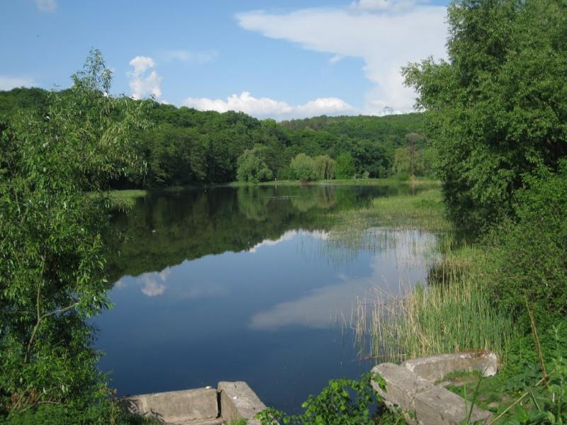 Новосілки з panoramio.com - Новоселки