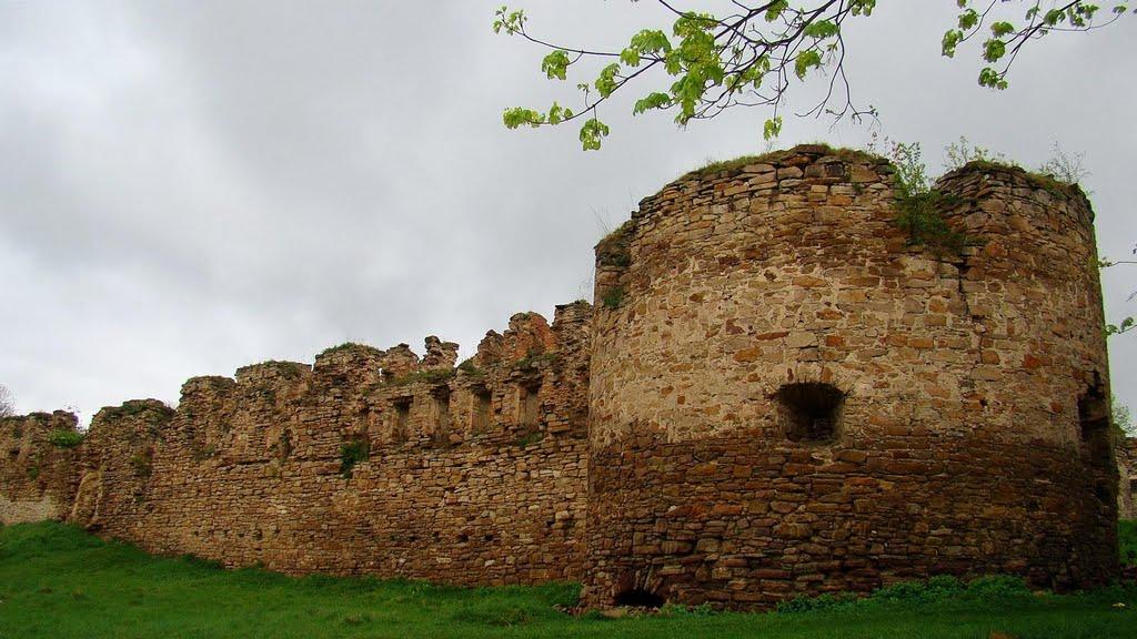 Микулинці з panoramio.com - Микулинці