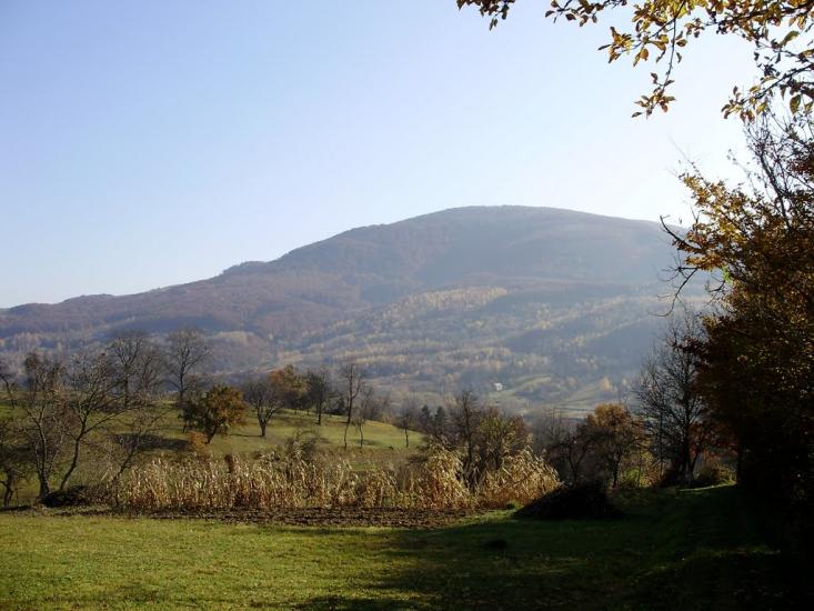 Пасіка з panoramio.com - Пасіка