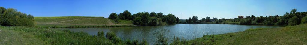 Зарванці з panoramio.com - Зарванцы