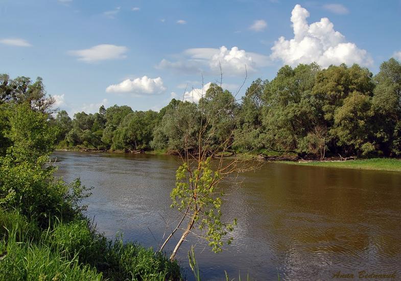 Рівне з panoramio.com - Рівне