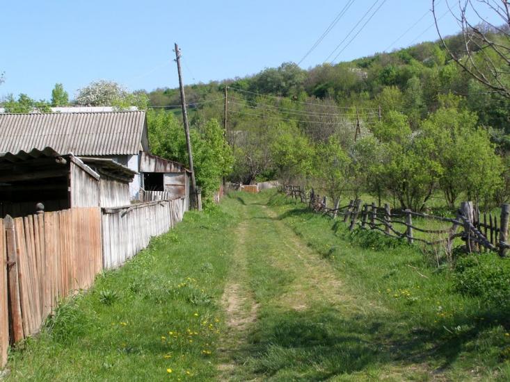 Черкасівка з panoramio.com - Cherkasivka