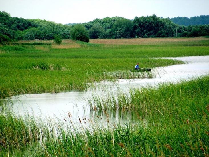 Тростянець з panoramio.com - Тростянец