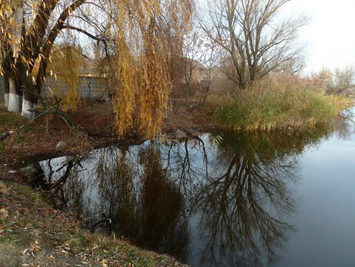 Миронівка з panoramio.com - Мироновка