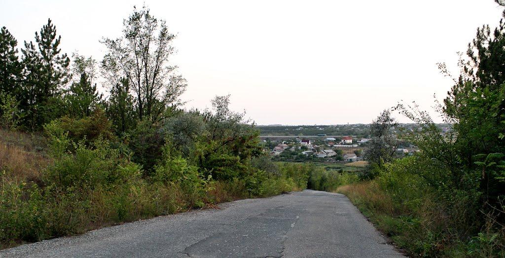 Алтестове з panoramio.com - Алтестово