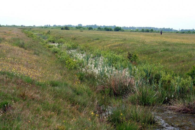 Щитинська Воля з panoramio.com - Щитинська Воля