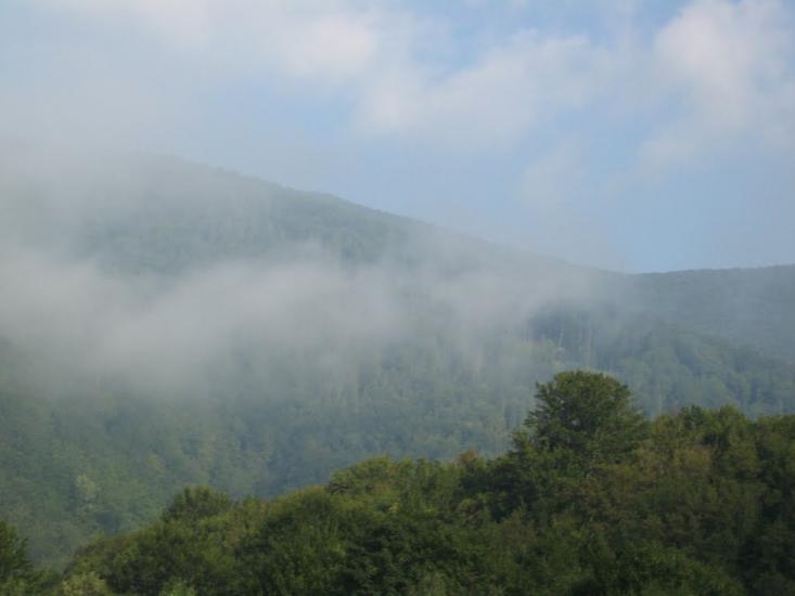 Абранка з panoramio.com - Абранка