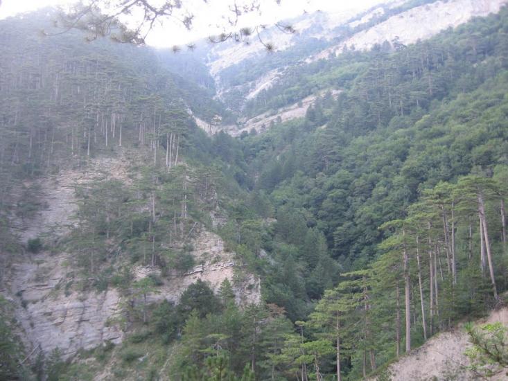 Відрадне з panoramio.com - Відрадне