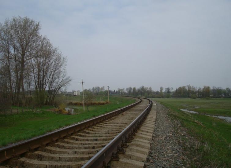 Росолівці з panoramio.com - Росолівці