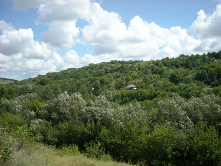 Гамулівка з panoramio.com - Гамулівка