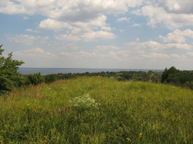 Григорівка з panoramio.com - Григорівка