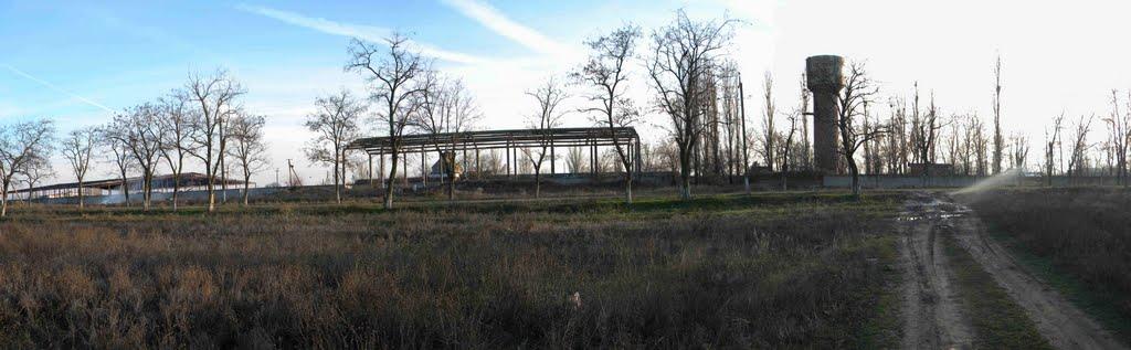 Павлівка з panoramio.com - Павловка