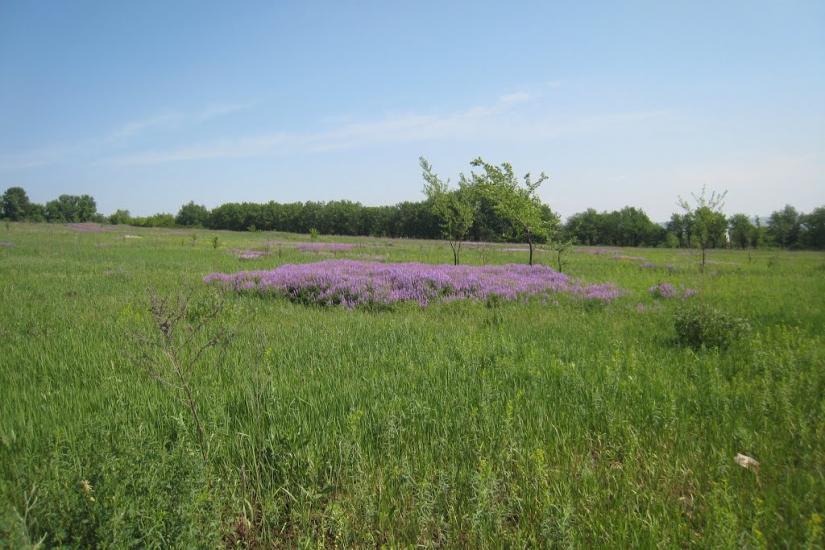 Нижня Кринка з panoramio.com - Нижня Кринка