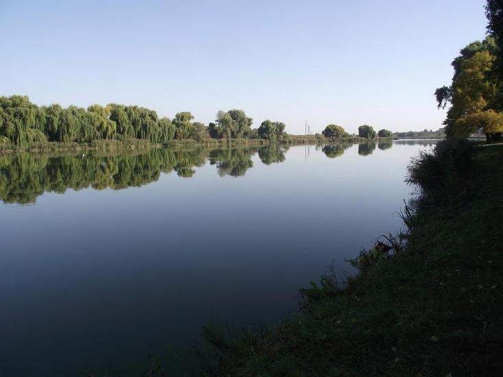 Узин з panoramio.com - Uzyn