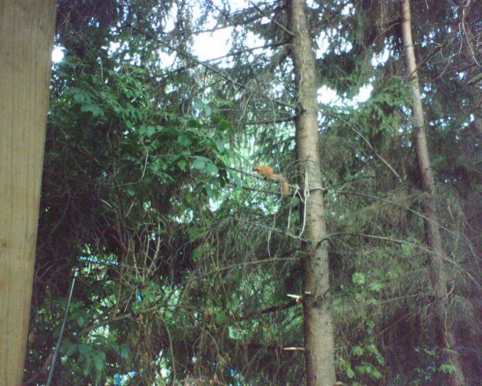 Алмазна з panoramio.com - Алмазная