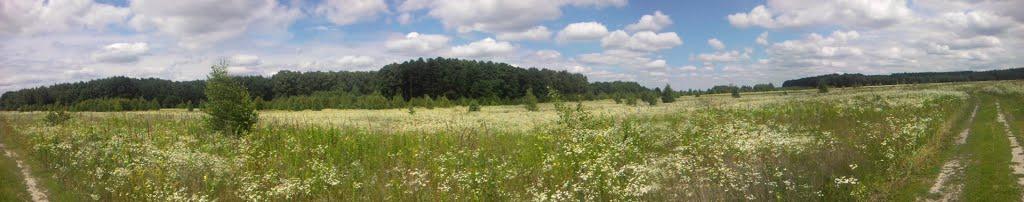 Березанка з panoramio.com - Березанка