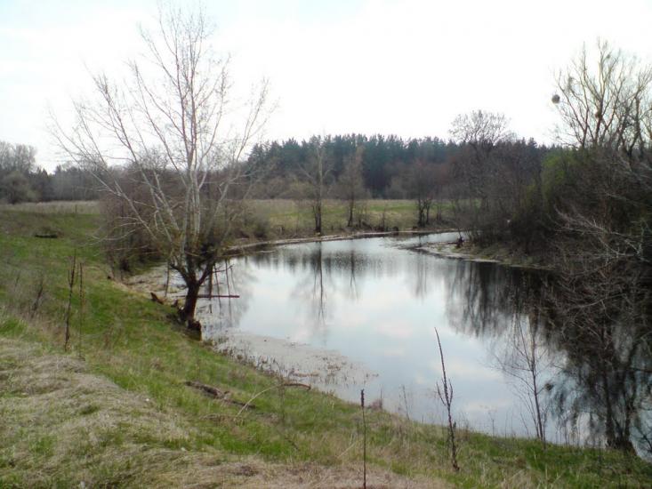 Лабурівка з panoramio.com - Лабуревка