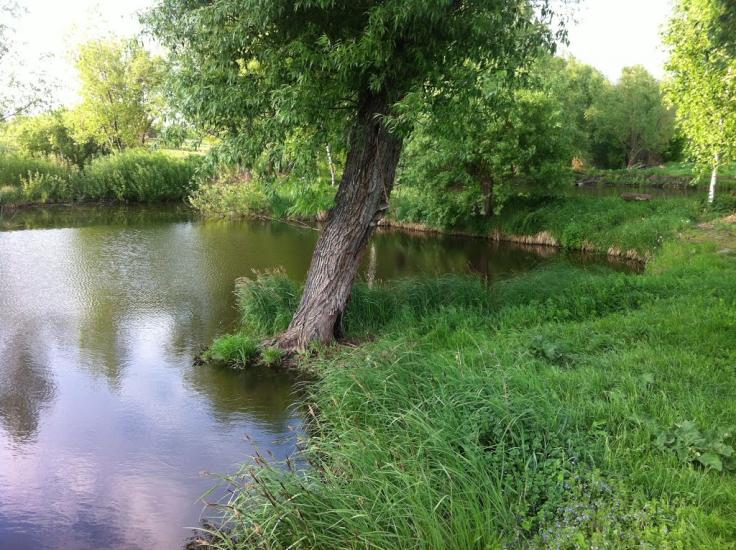 Іванівка з panoramio.com - Іванівка