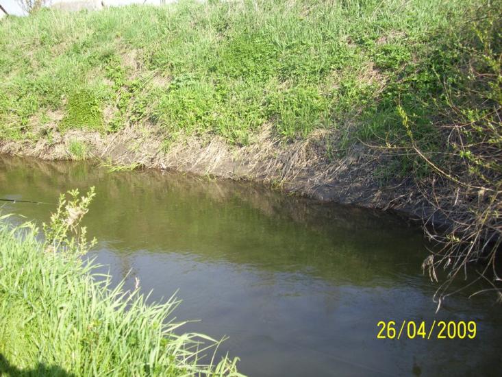 Тлумач з panoramio.com - Тлумач