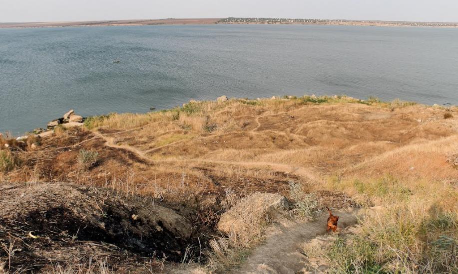 Велика Балка з panoramio.com - Велика Балка